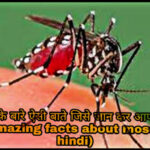 amazing facts about mosquito in hindi