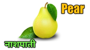 fruits name in hindi and english