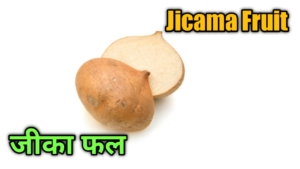 fruits name in hindi pdf download