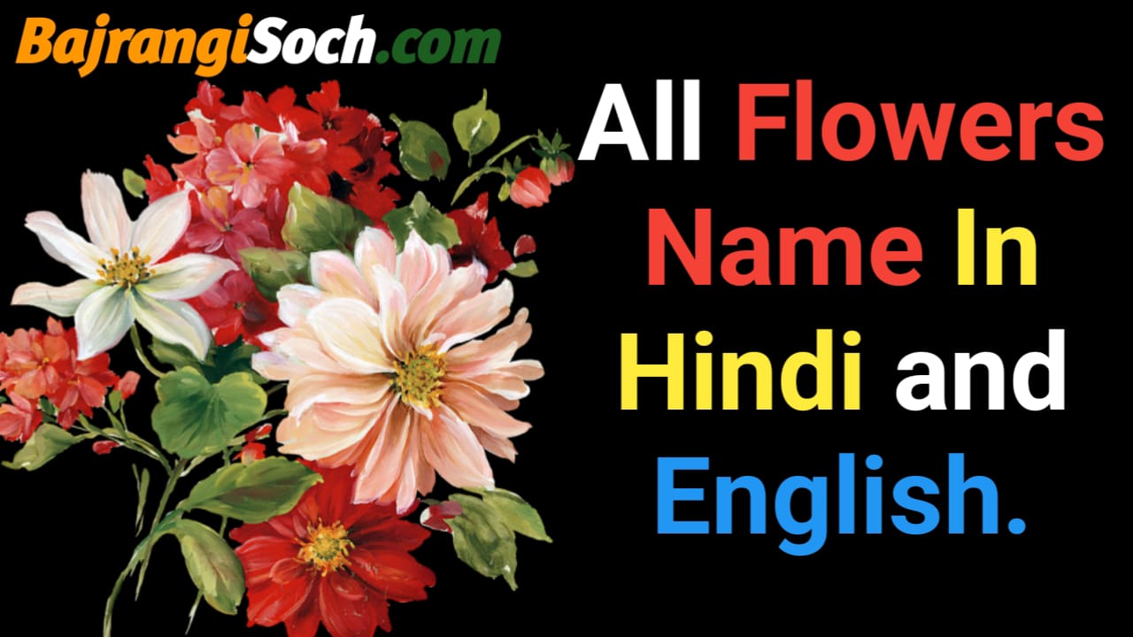 flowers name in Hindi and English