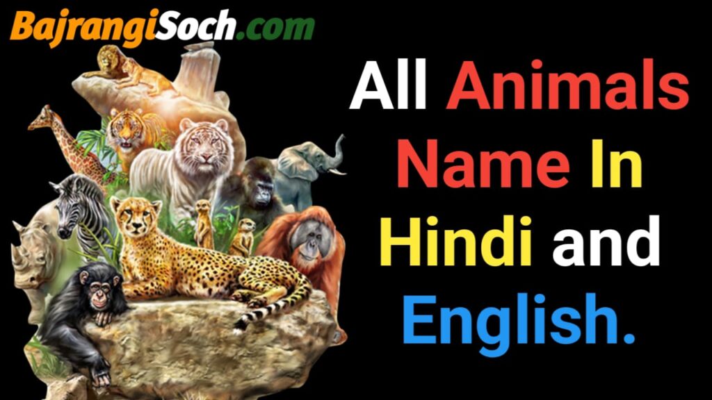 all Animals name in hindi and english with pictures -जानवरों के नाम तस्वीर  के साथ » BAJRANGISOCH