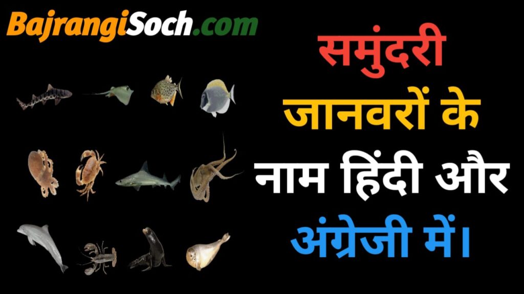 Sea animal name in Hindi 